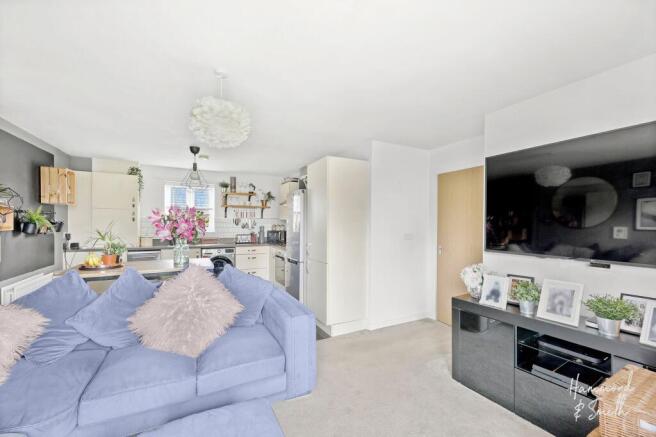 Kitchen / Living / Dining