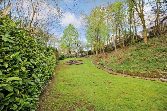 rear garden 3