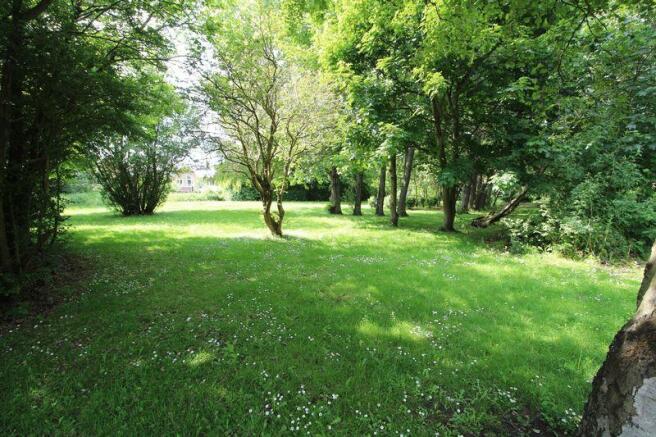 Surrounding Area