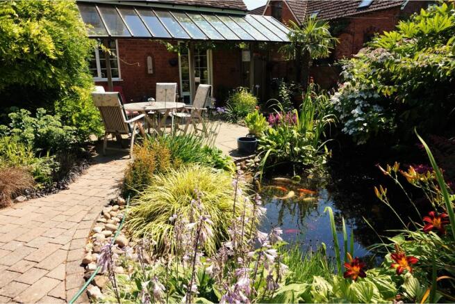 Pond