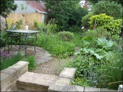 Photo 6