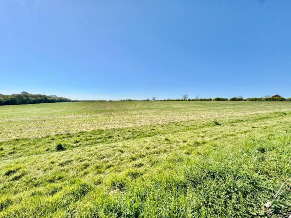 Open Field Views