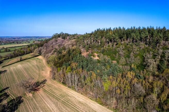 DJI_0107.jpg