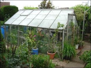 Greenhouse