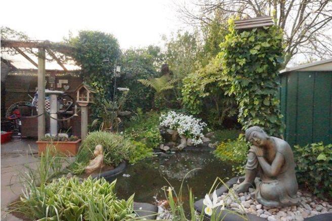 Pond