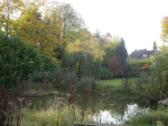 garden 2.JPG