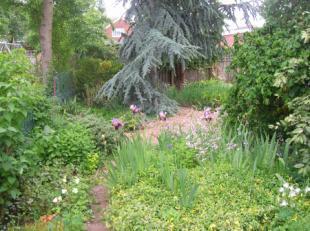 Rear Garden 2