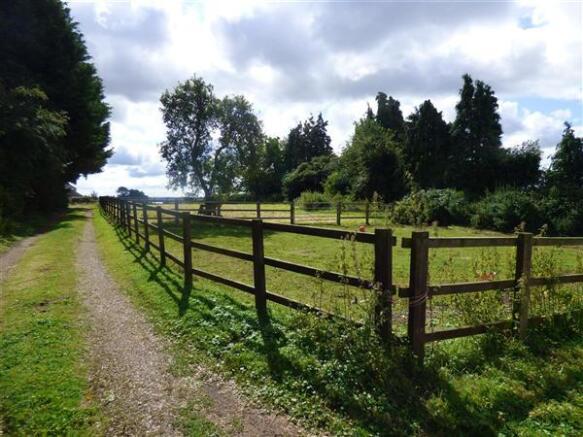 PADDOCKS VIEW 2