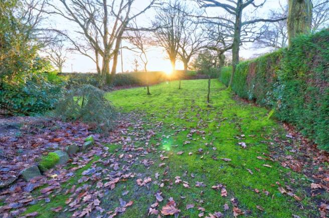 Orchard