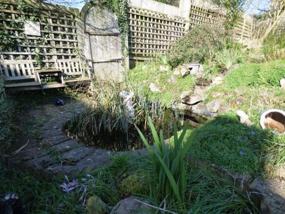 Pond