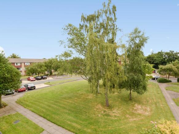 Grounds