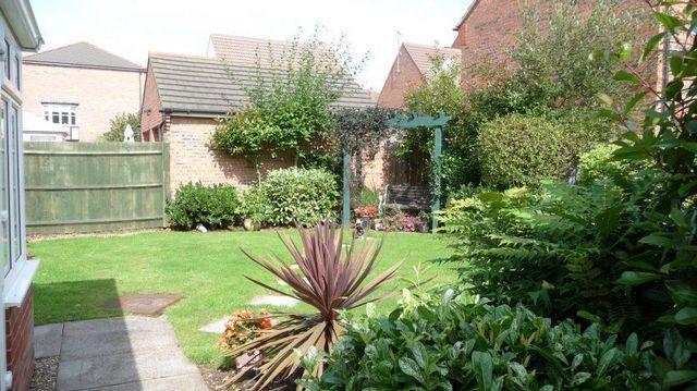Rear Garden 2
