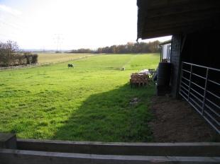Fields