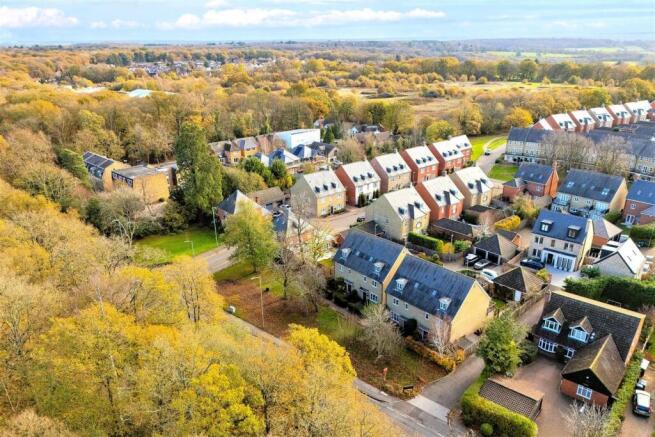 DJI_20251120110130_0489_D copy.jpg