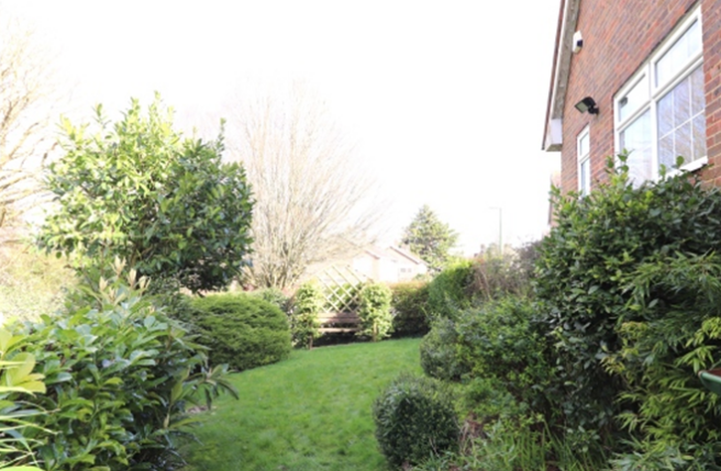 Side garden