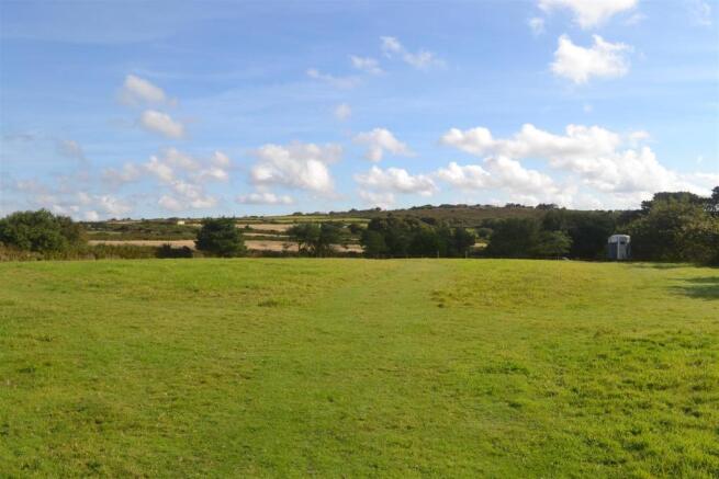 Field View.JPG