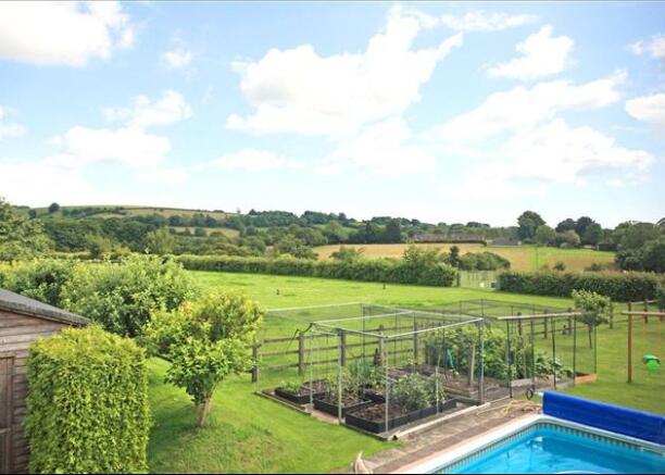 Garden and Pool