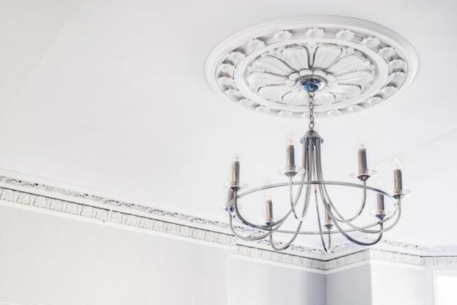 Feature Plasterwork