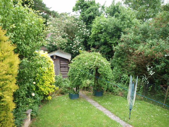 Photo 5