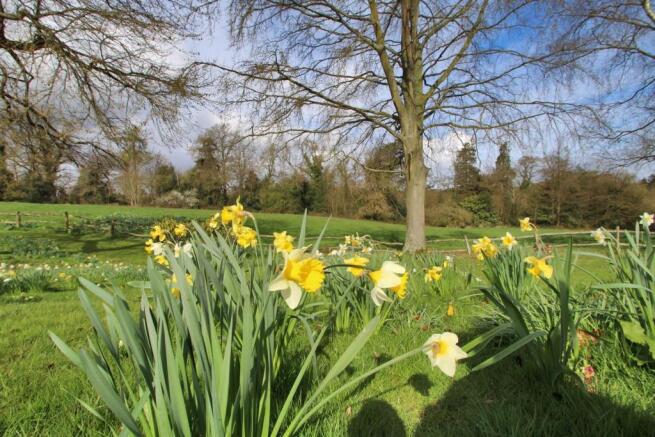Garden Spring Cameo.jpg