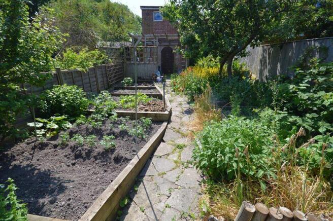 Veg patch
