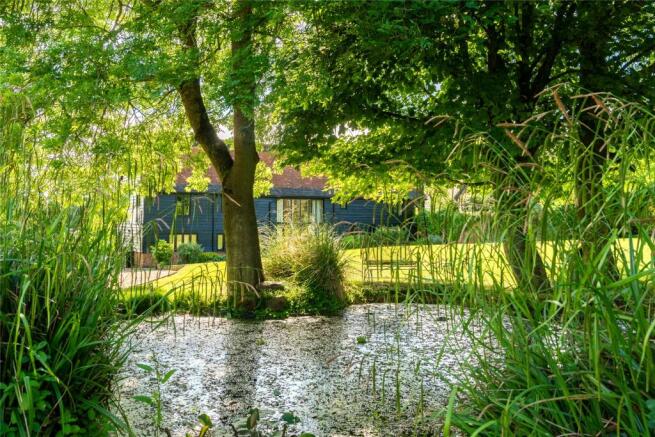 Pond