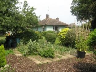 Side Garden