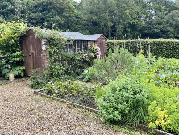 Veg Garden 2.jpeg
