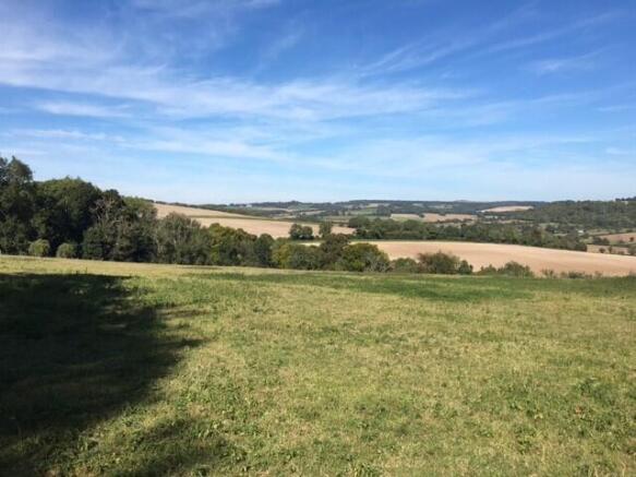 new downs view