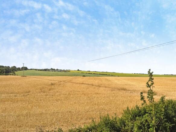 Nearby Farmland