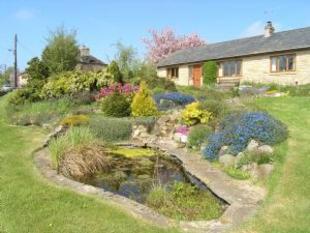 Pond