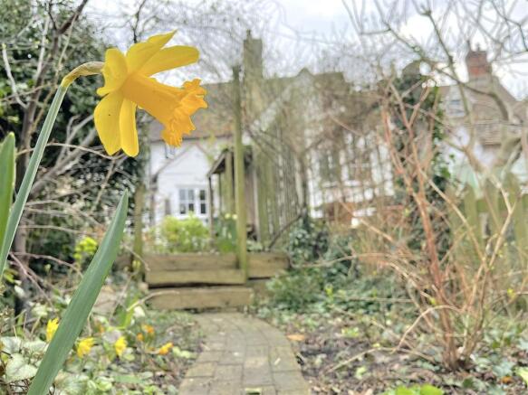 Garden (9).jpeg