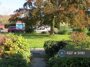 Ashburton Close Green