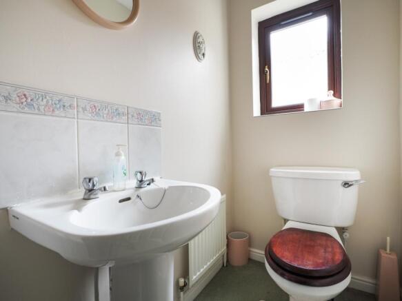 IMAGE 20