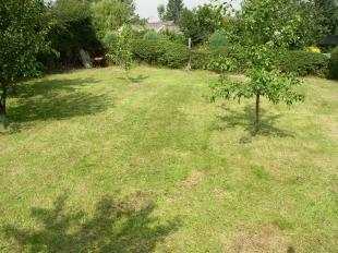 Small Orchard
