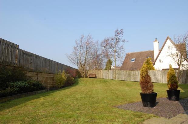 Garden View 2