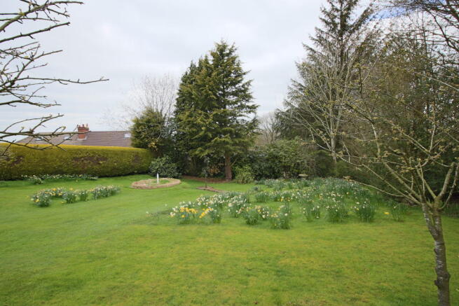Lower reach of the garden.