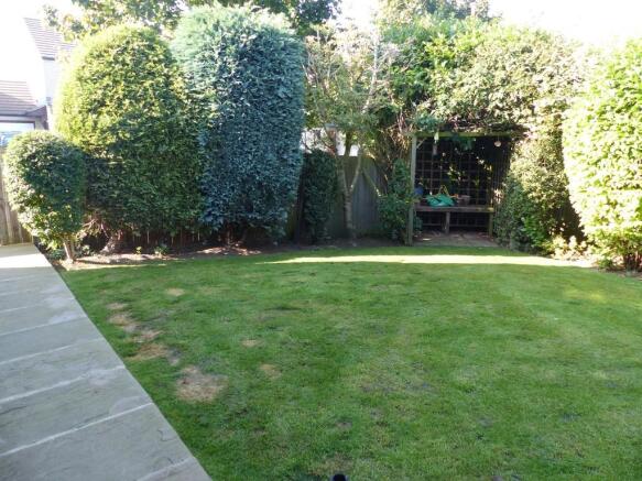 Photo 7