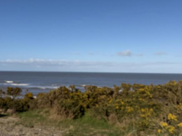 IMG 5212 T202604092035.jpg