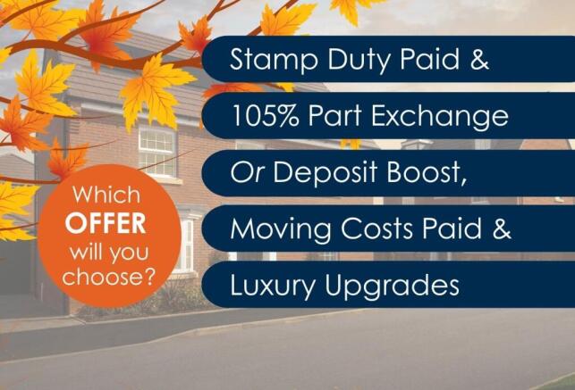 Autumn offers