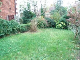 Side Garden