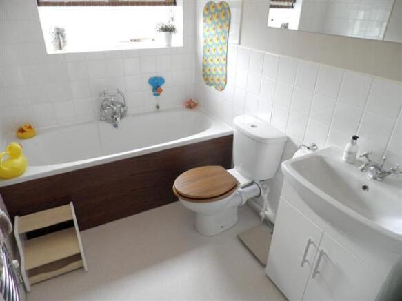 Photo 7