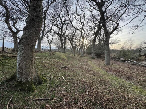 Land at East Stoke