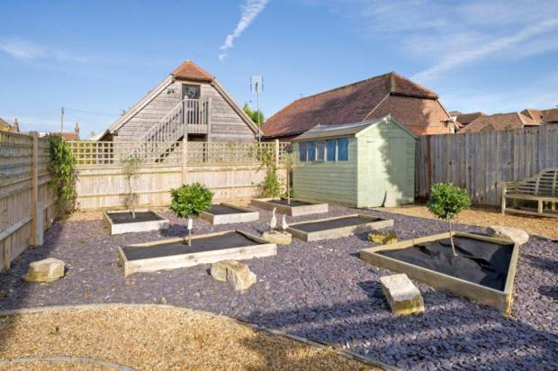 Vegetable Garden