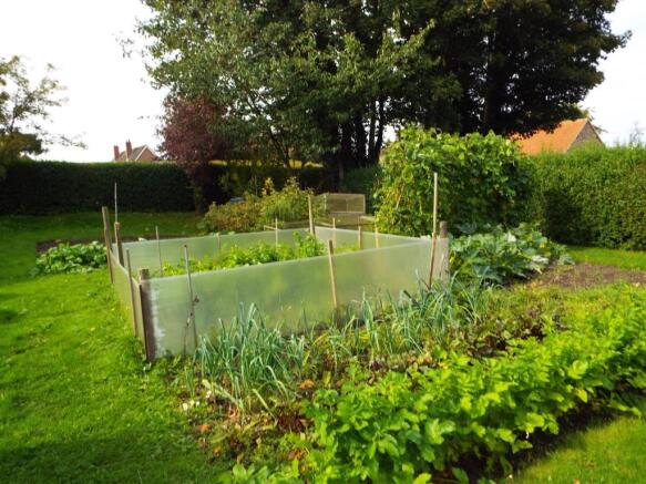 Vegetable Garden
