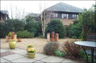View of garden