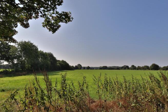 Field views to re...
