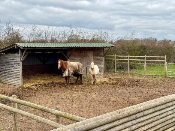 Large outdoor shelter for horses