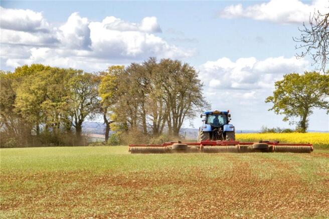 Farmland