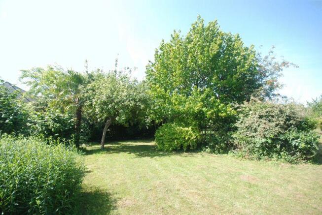 Photo 26